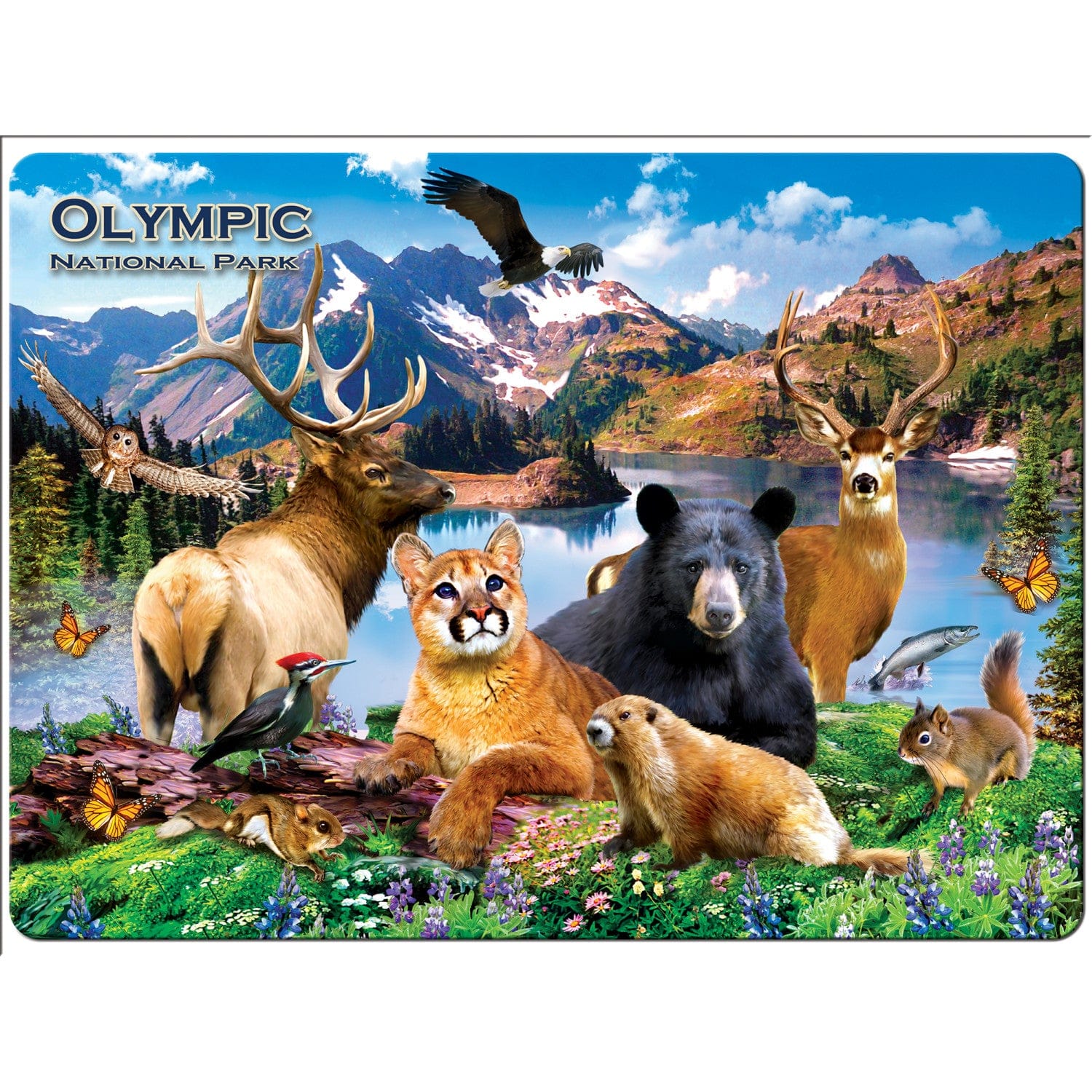 Olympic National Park 48 Piece Tray Puzzle