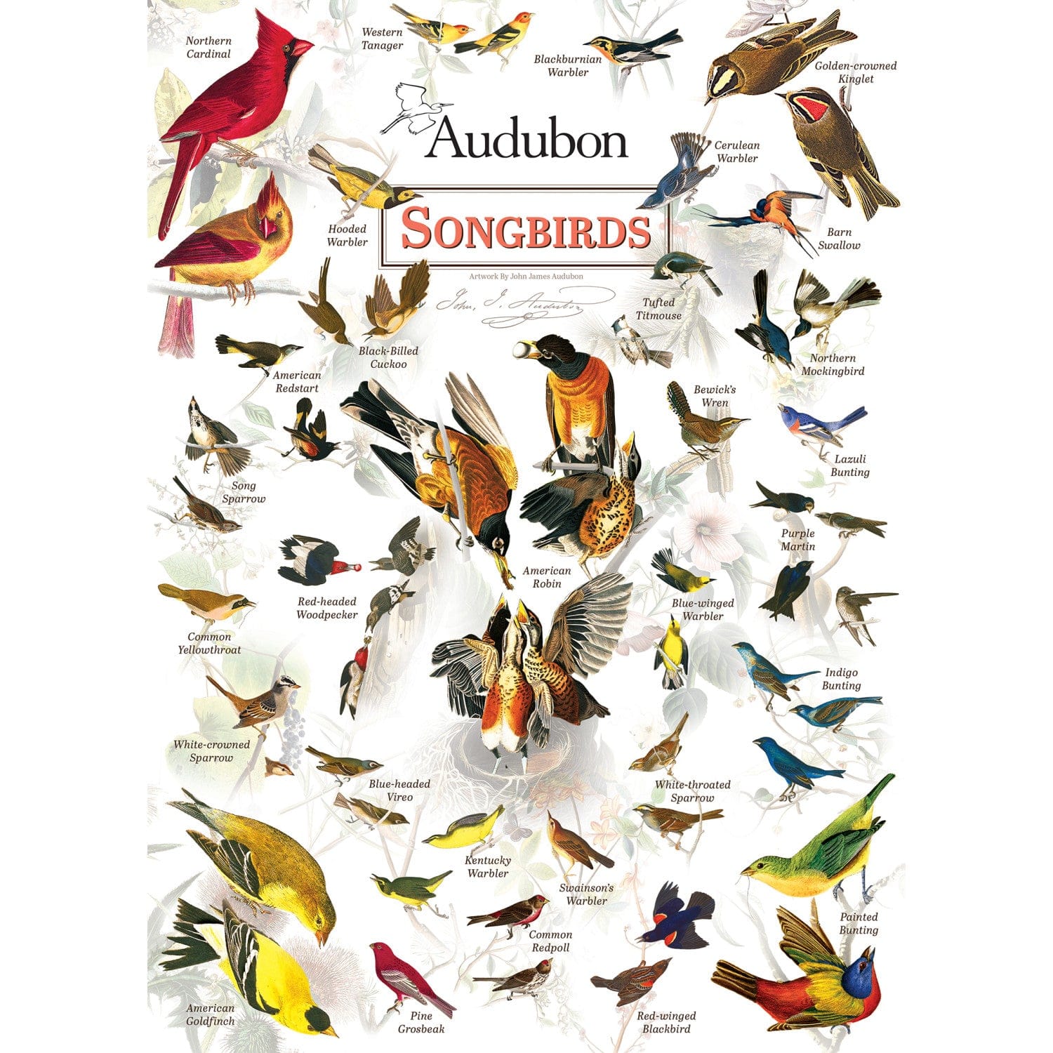 Audubon - Field Guide - Songbird 1000 Piece Puzzle