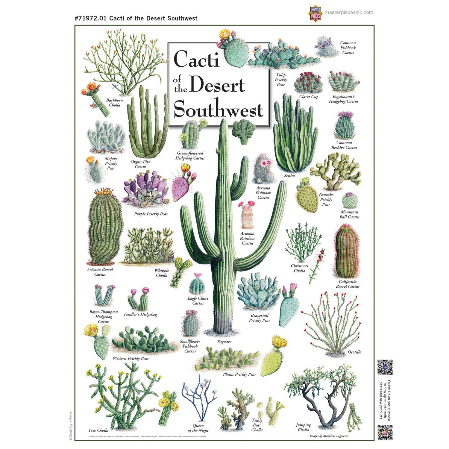 Cacti of the Desert Southwest 1000 Piece Jigsaw Puzzle