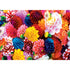 Brilliance - Beautiful Blooms 500 Piece Puzzle