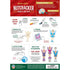 Nutcracker Sugarplum Fairy - Holiday Wood Paint Kit