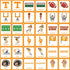 Tennessee Volunteers NCAA Matching Game