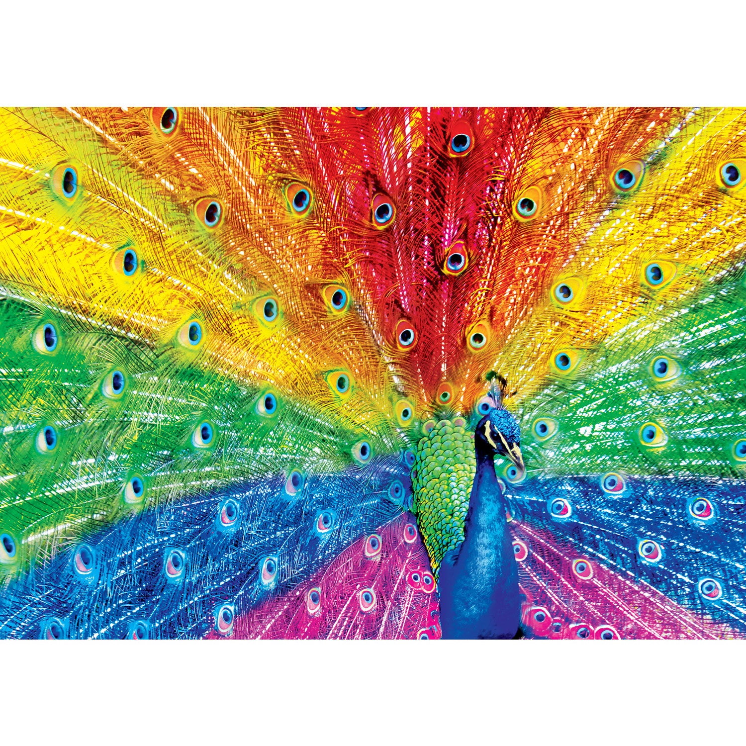 Brilliance - Peacock Delight 500 Piece Puzzle