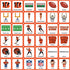 Cincinnati Bengals NFL Matching Game