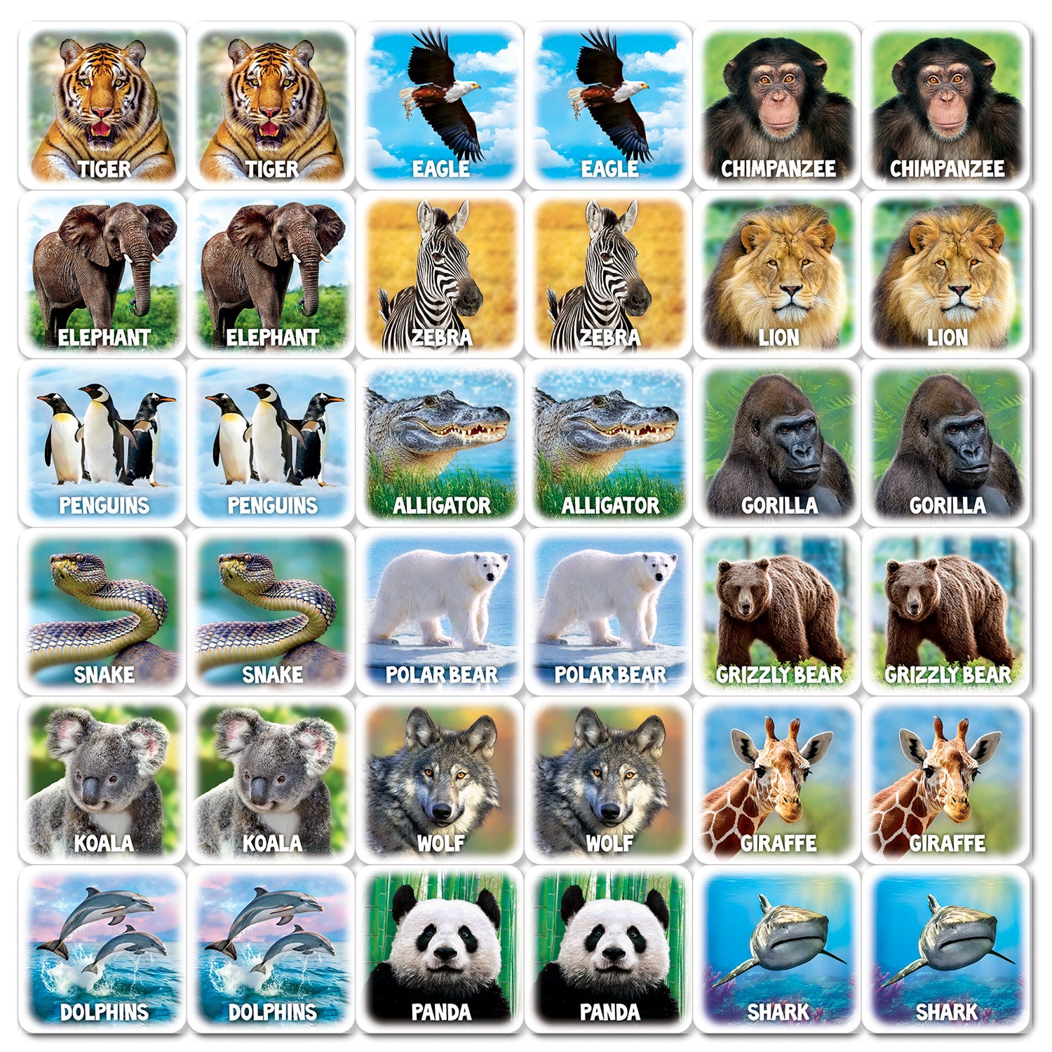 World of Animals Matching Game | Card Game – MasterPieces Puzzle Company INC