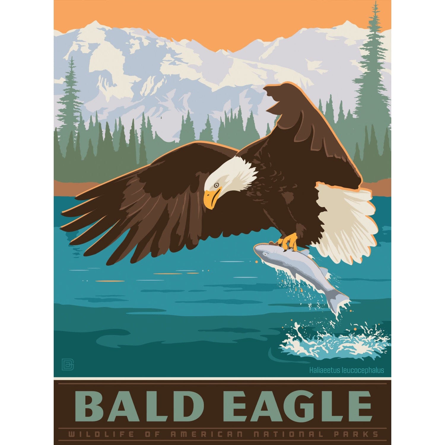 Puzzle Pod - Bald Eagle 300 Piece Puzzle