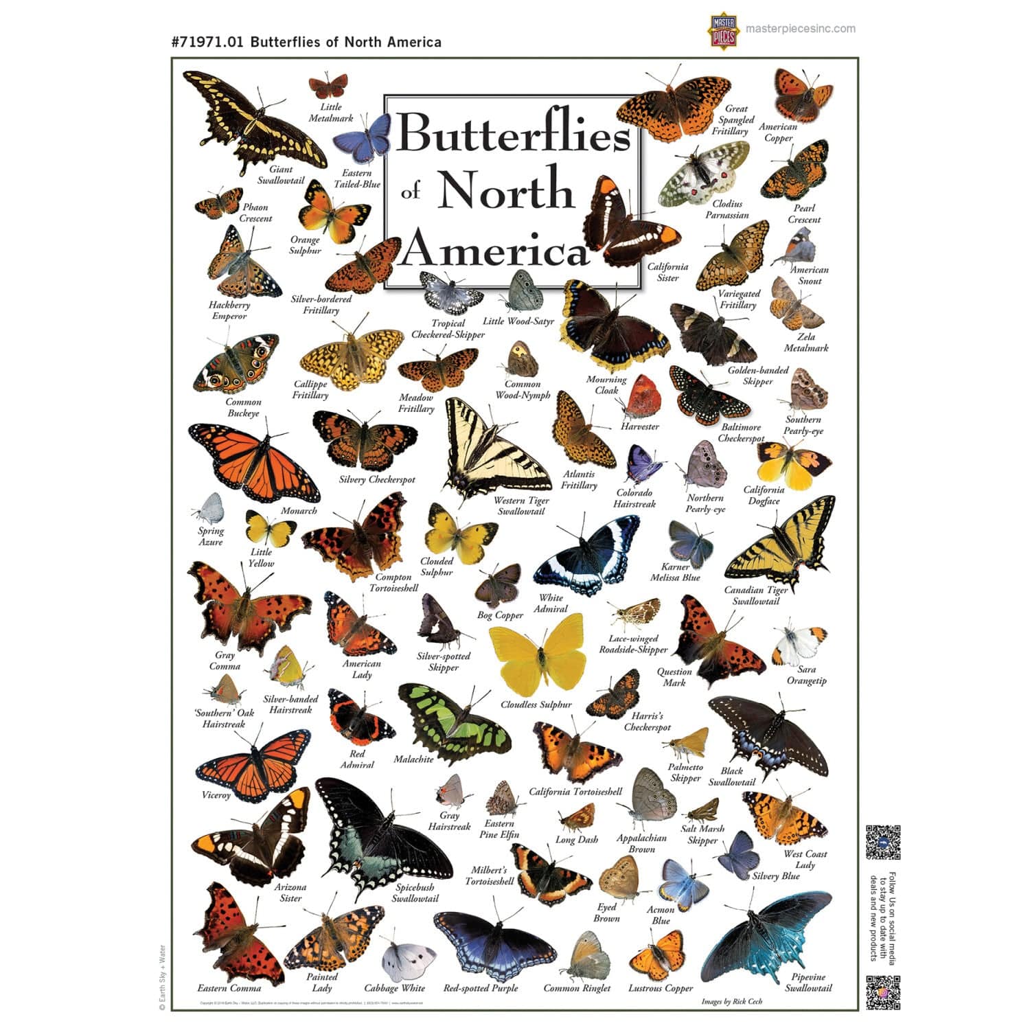 Butterflies of North America 1000 Piece Jigsaw Puzzle