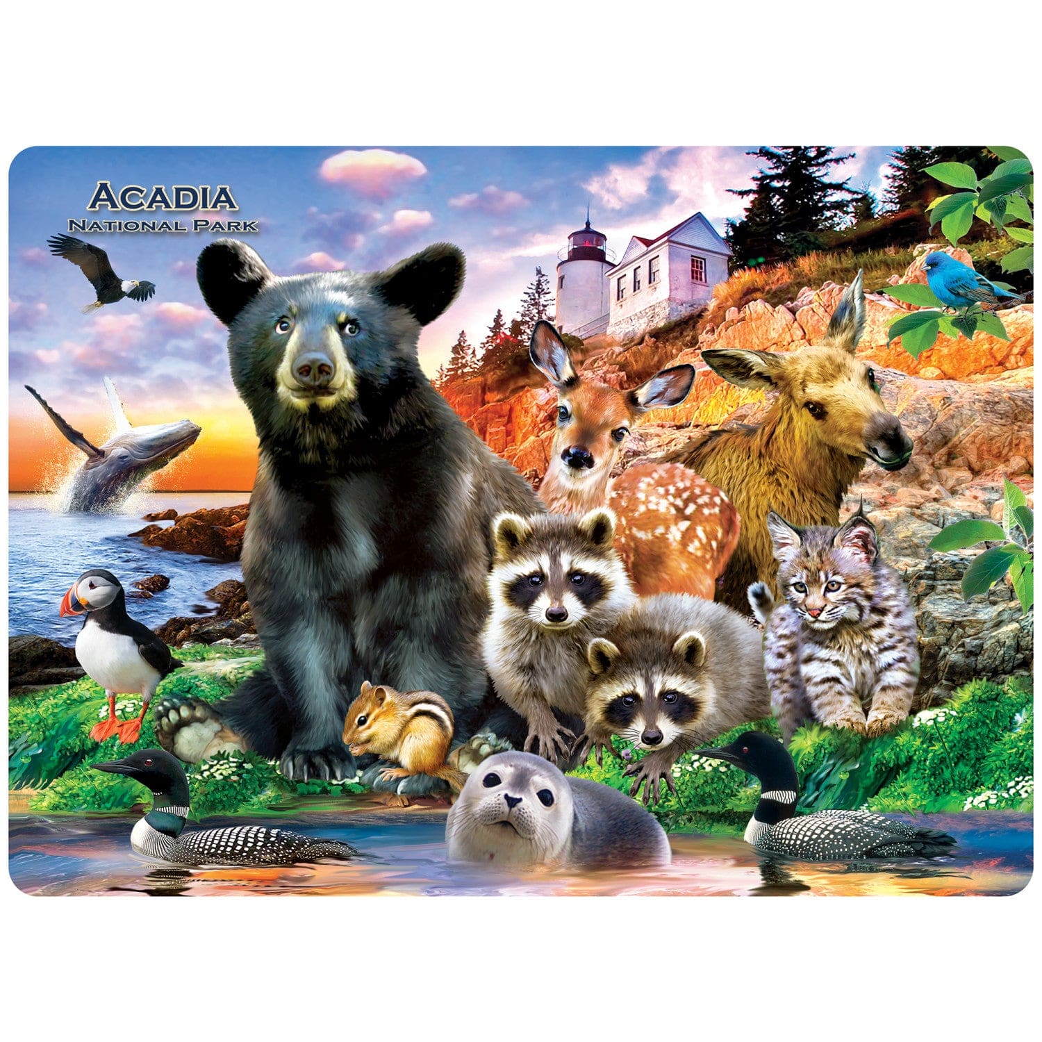 Acadia National Park 48 Piece Tray Puzzle