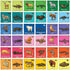 I Can Explore - Animal Poop Matching Game